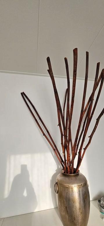 Gratis vandaag af te halen