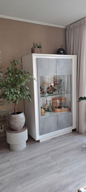 GRATIS Moderne vitrinekast wit met betongrijze glas deuren