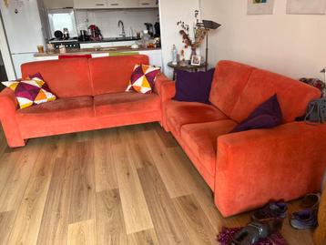 Oranje banken voor een prachtig bos bloemen