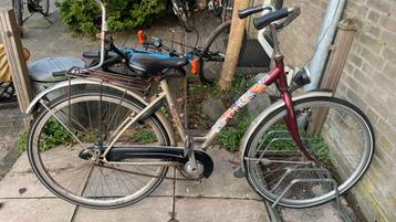 Meisjesfiets 24 inch (7-10 jarigen)