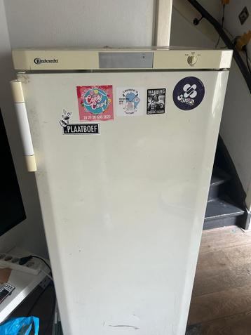 Gratis ijskast- Ophalen in Utrecht centrum