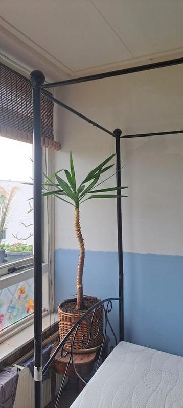 Metalen hemelbed 120. Gratis. Zsm ophalen