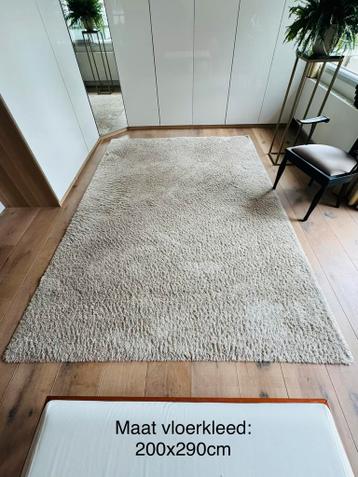 Mooi onderhouden beige vloerkleed