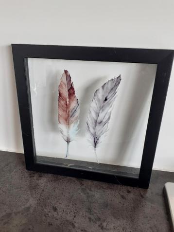 Schilderijtje  met 2 veren