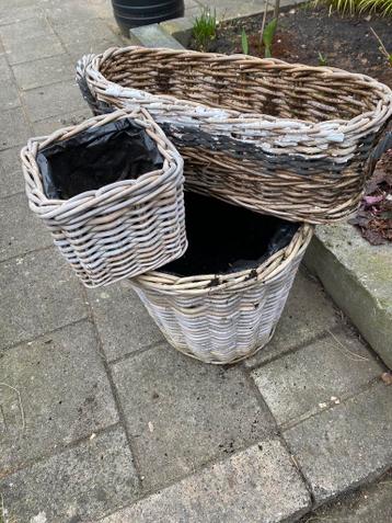 Gratis rieten manden