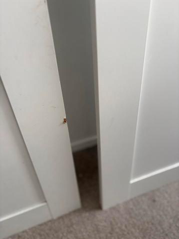 IKEA Pax deuren - Wit (2 stuks)