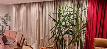 Gordijnen cremekleurig 245 lang