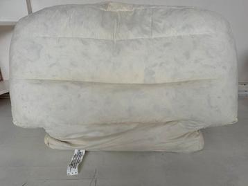 Twee met veren gevulde rugkussens