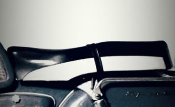 Mooie buddy sparta gi 50 gezocht