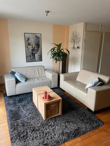 Lederen 2-zits bankstel (2 stuks)