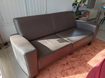 Kunstleren bank (staat in Tynaarlo)