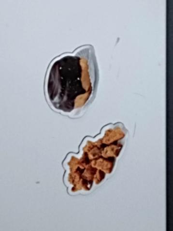 GEVRAAGD EMTE MAGNETEN