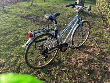 GIANT Custom SL framehoogte 54 cm opknapper