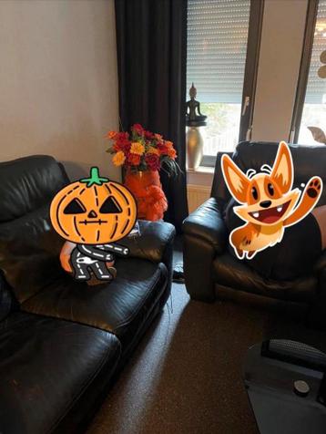 Zwarte lederen banken: 1-zits en 2-zits set