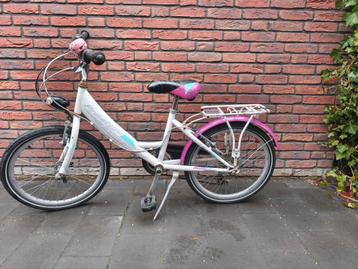 20 inch meisjesfiets - Wit/Paars met bagagedrager