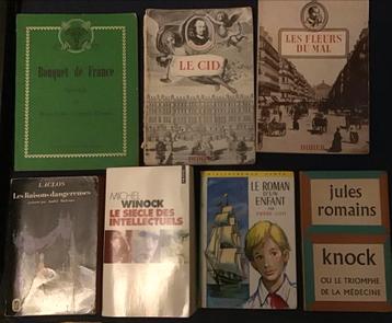 Diverse Franstalige boeken - Gebruikt, overtollig