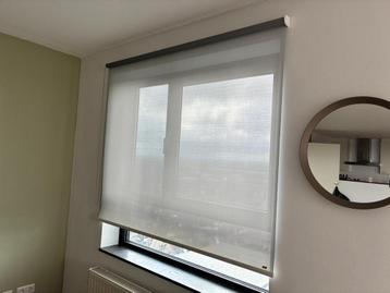 Gratis: Luxaflex rolgordijnen lichtdoorlatend – 166 & 116 cm