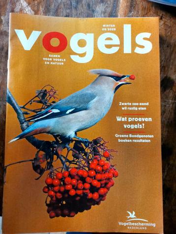 Gratis: Jaargangen Vogels, tijdschrift Vogelbescherming