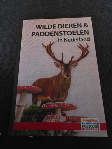 Wilde Dieren & Paddenstoelen in Nederland