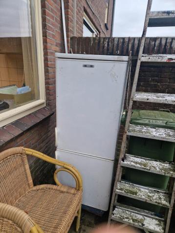 Ijskasten  met vriezers