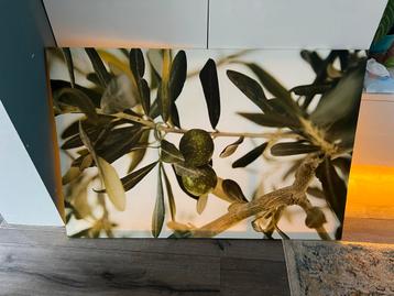 Gratis! Ikea Canvas Olijven 80x120 cm