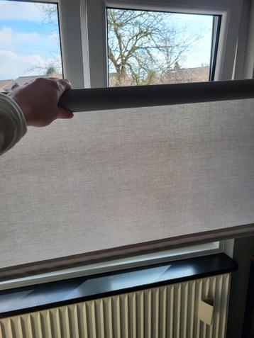 Rolgordijn lichtgrijs - 145x175 cm