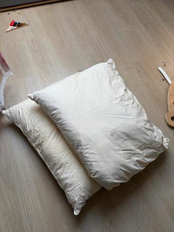 Hoofdkussens - Set van 2