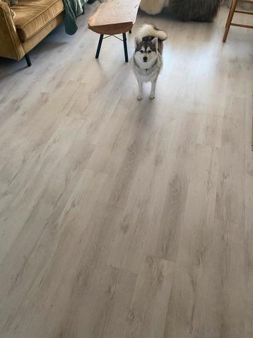 Gratis laminaatvloer - Licht houtnerf design