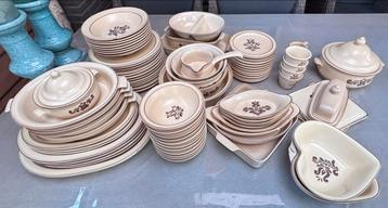 RUILEN: Vintage Pfaltzgraff USA Servies - Zware Kwaliteit