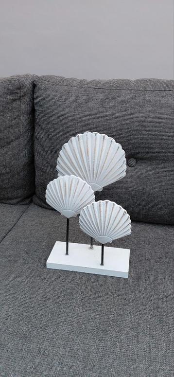 Decoratief schelpen plankje