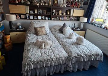 Compleet 2 persoons bed. (180 x 200 cm)