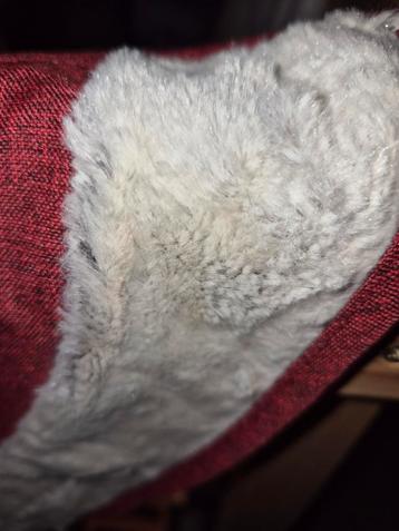 Gratis af te halen voor eigen gebruik!Laat weten wat je wilt