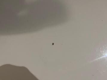 Witte eettafel 200x100 cm