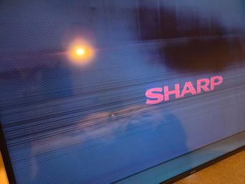 Sharp LCD TV 55 inch - Beeldscherm defect GRATIS