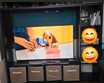 Lappland tv meubel van IKEA Gratis