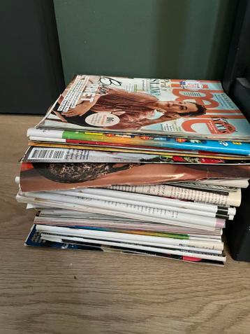 Gratis af te halen libeles en margrieten van 2025