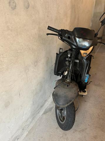 Peugeot Zenith Frame | Snor