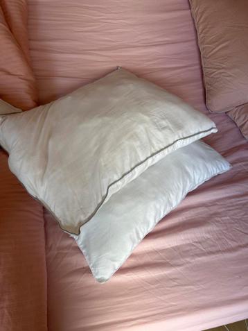 Twee dunne hoofdkussens