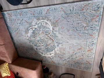 IKEA Onsevig kleed 160x235 cm