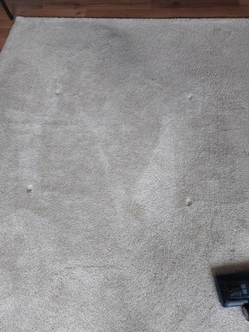 Vloerkleed 240 /170