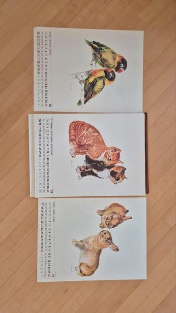 38 reproducties van dierentekeningen - 40x44 cm