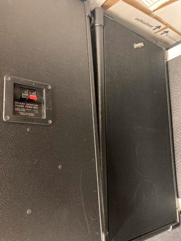 Roland RSM 150 Passieve Studio Monitoren (set van 2)