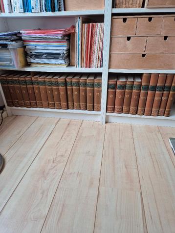 Oosthoek encyclopedie 1968