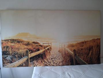 Groot canvas schilderij 100x180 cm - Gratis af te halen