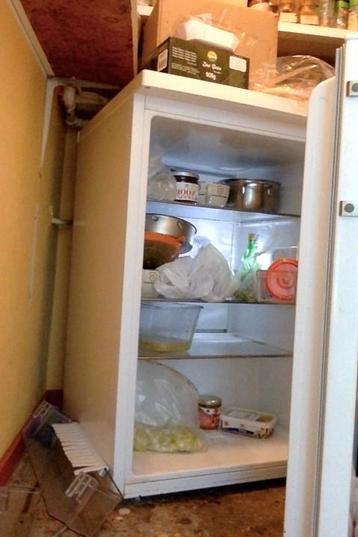 koelkast 103L A+++ bouwjaar 2015