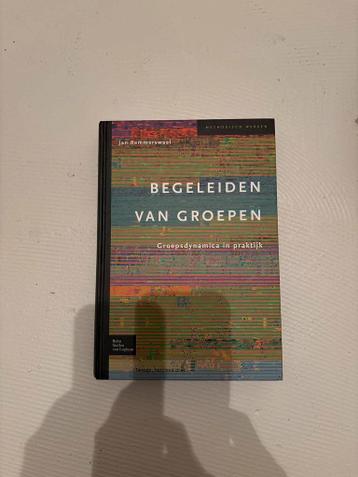 Begeleiden van Groepen - Groepsdynamiek in de praktijk