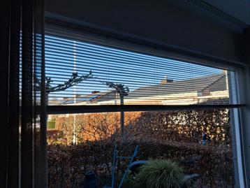 Jaloezieën van Luxaflex