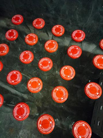 25 Glazen flessen, inhoud 0,7 liter, gratis ophalen