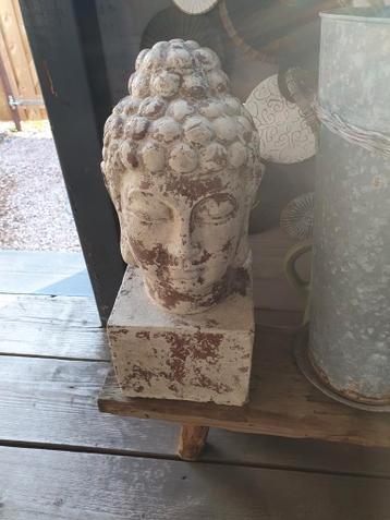 Boeddha hoofd beeld terracotta mooi beeld