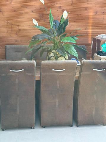 6 eetkamertafelstoelen
